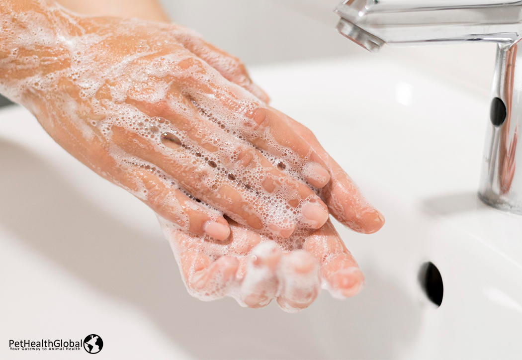 Washing of hands