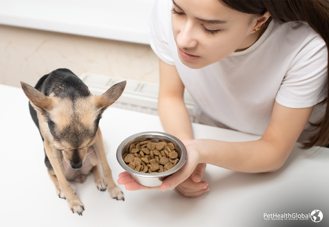 abnormal eating habits pet health products