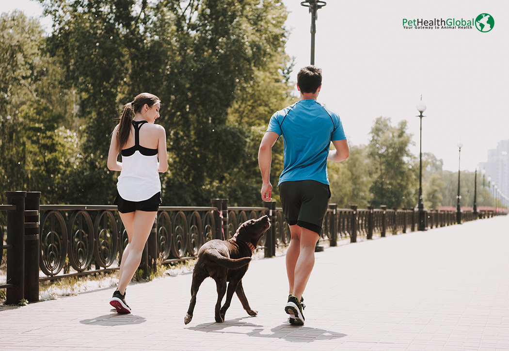 Running Outdoors With Their Pet Dog