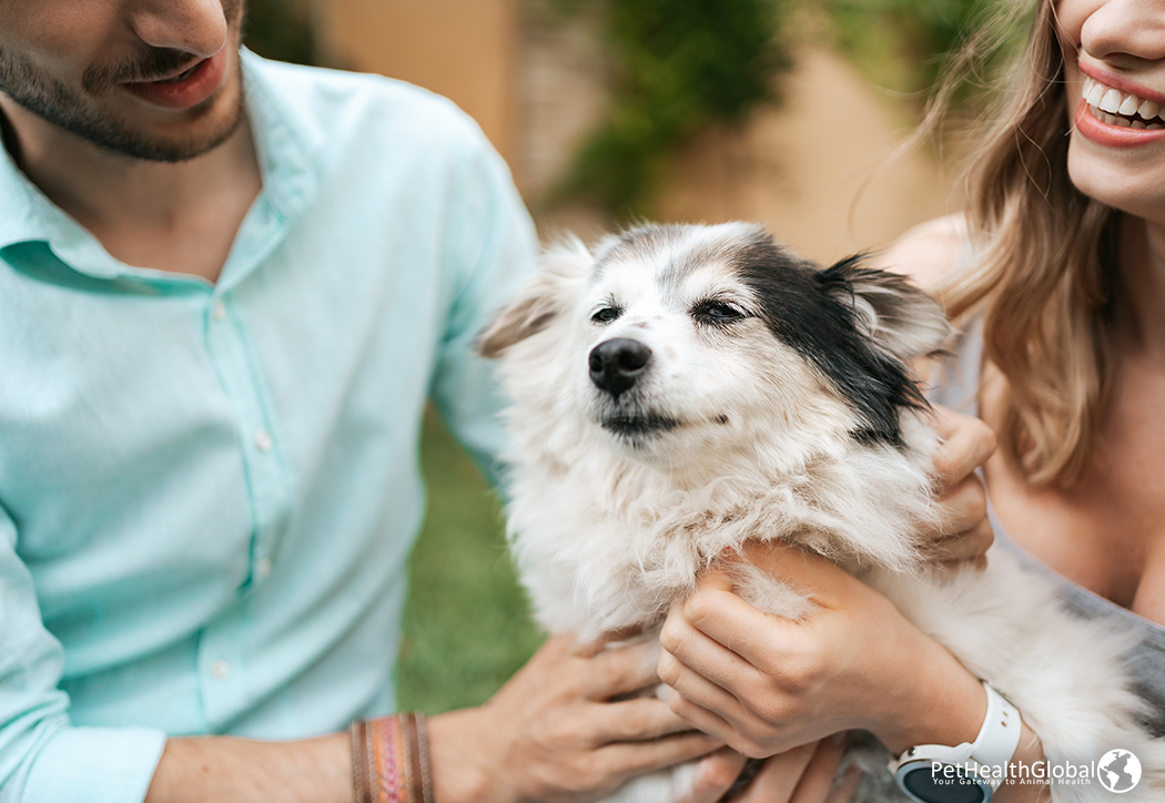 Spending Time With Their Pet Dog